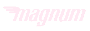 Партнёр 13